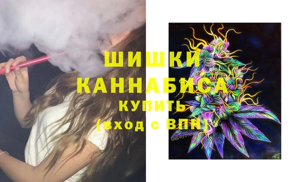 индика Верхний Тагил