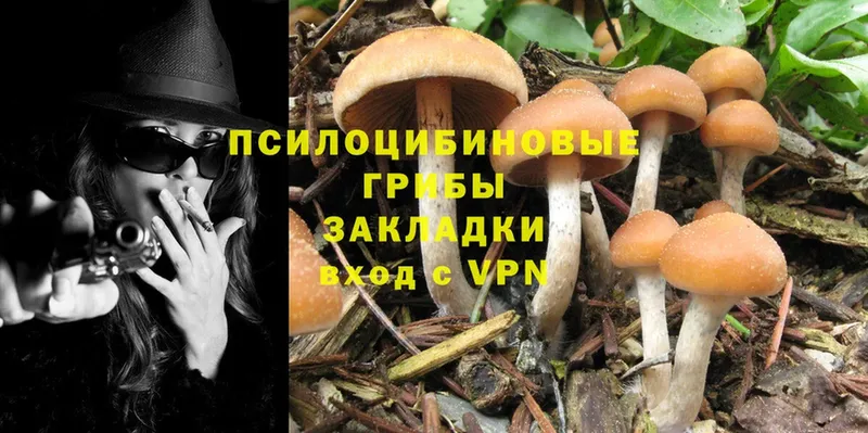 Псилоцибиновые грибы MAGIC MUSHROOMS  Шагонар 